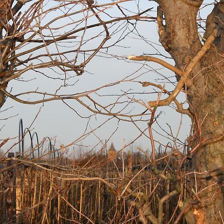 De Betuwe Asch Ngoại thất bức ảnh